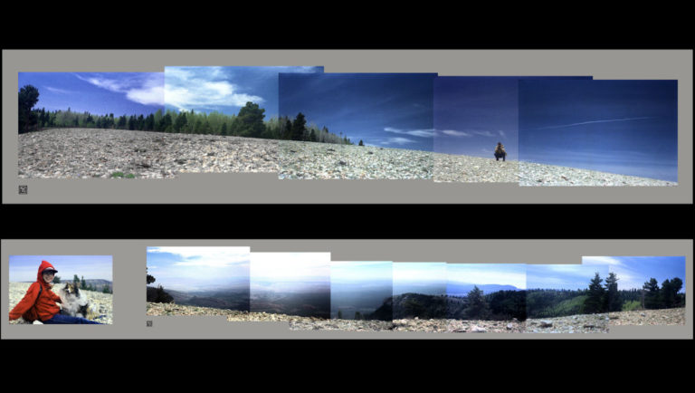 The Panoramic Collage