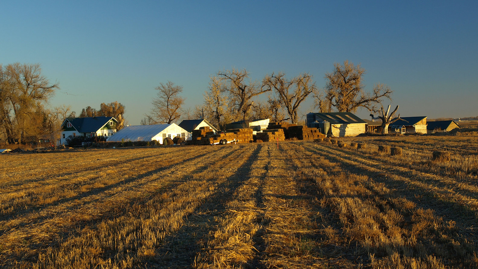 Garden Mural Genesis